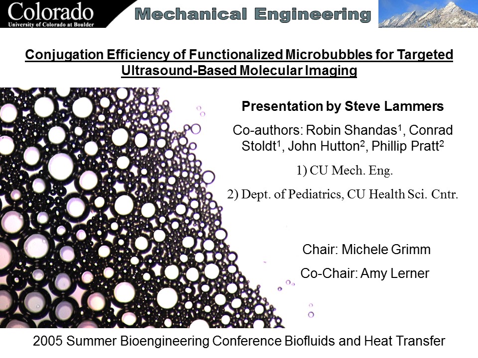 Conjugation Efficiency of Functionalized Microbubbles for Targeted Ultrasound-Based Molecular Imaging